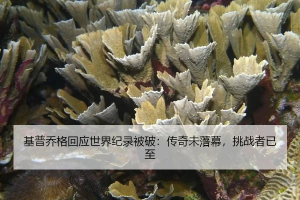 基普乔格回应世界纪录被破：传奇未落幕，挑战者已至